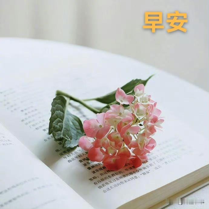 真正通透的人，都懂的人情世故处世法则1、人情三底线：看破不说破，知人不评人