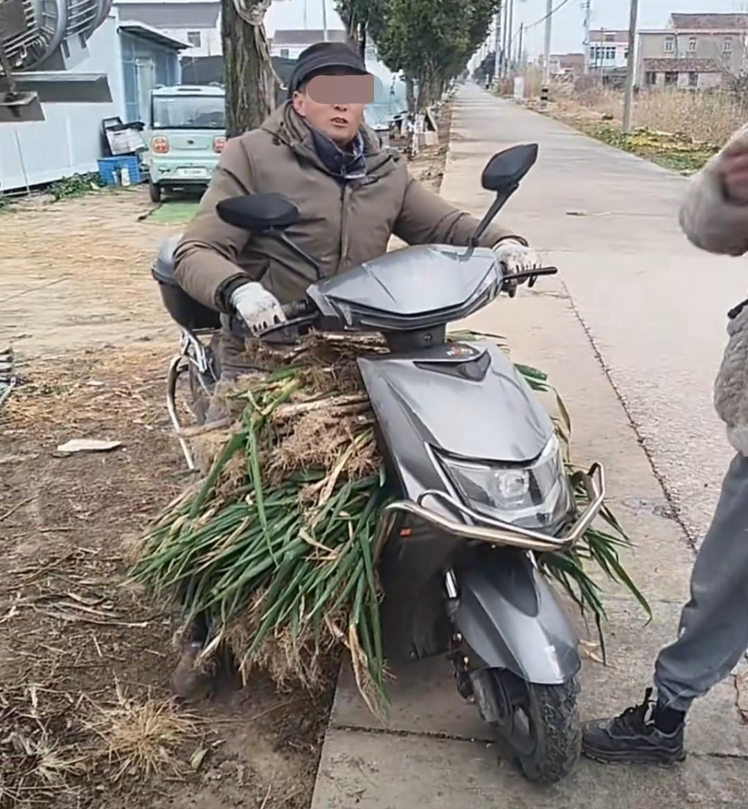 偷了“亿点儿”葱还嘴硬？南通一位大爷偷葱被抓，家里搜出的大葱跟小山一样。江