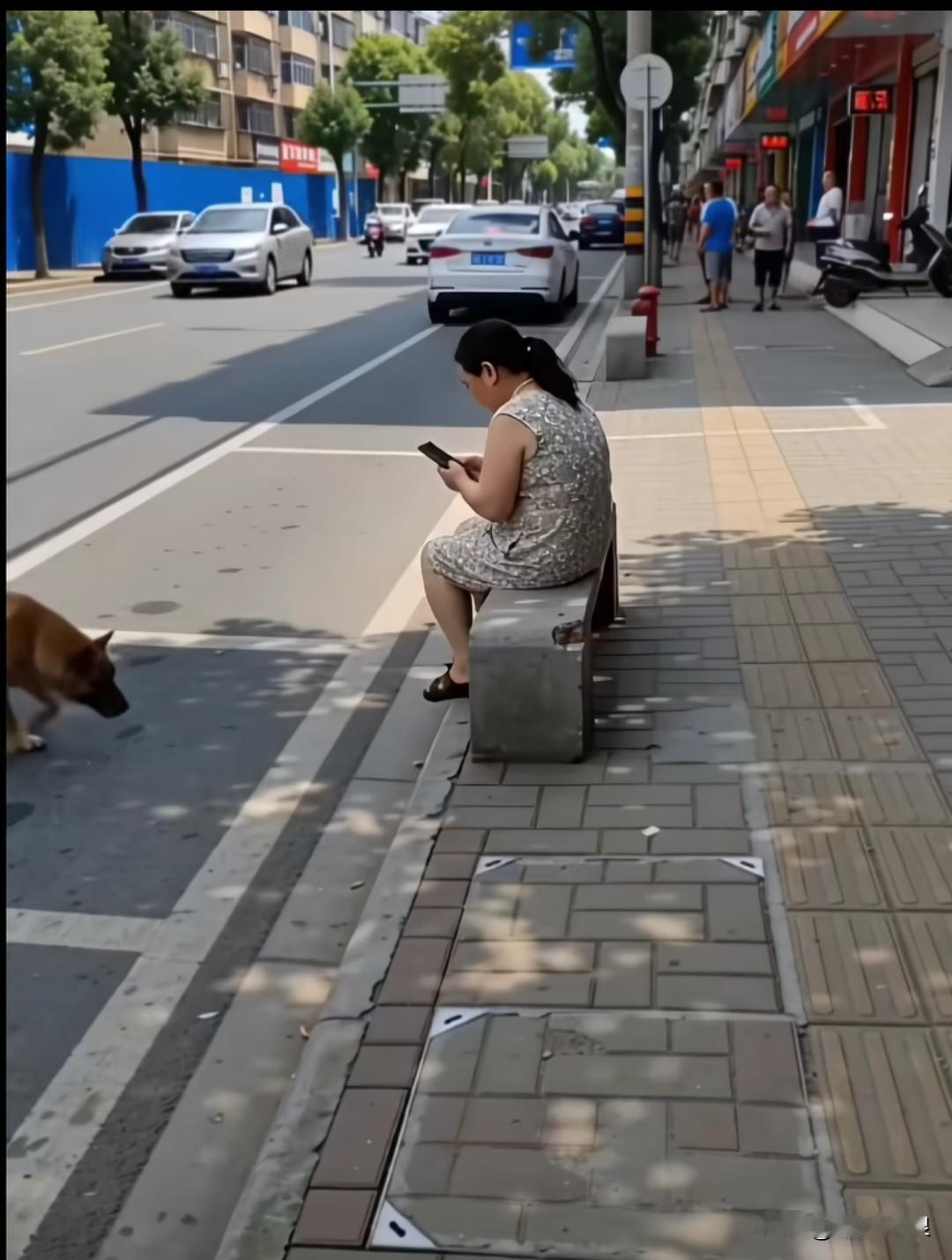 难道狗狗真的有预知危险的本领吗？你瞧，女子坐在路边的石凳上看手机，一只流浪狗跑过
