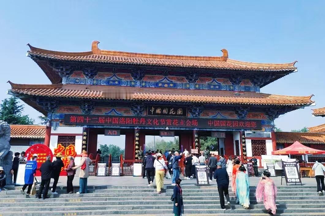 洛阳牡丹节保姆级攻略！照着玩不踩雷💯这两天来洛阳看牡丹，牡丹花真的绝了！刚