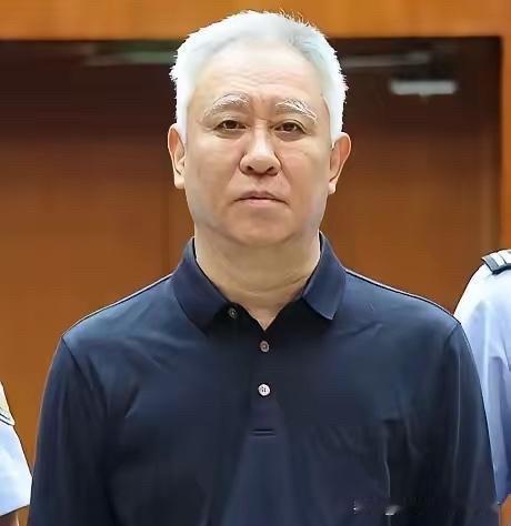 这下好了爷三个一锅端了我最想不通的就是许家印两个儿子了，明明可以靠着清华和哈佛