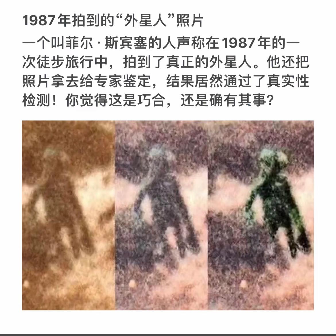 1987年拍到的疑似外星人的照片