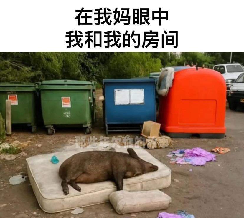 那你的房间确实是挺乱的
