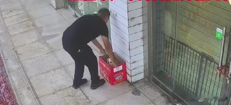 一只难产的狗狗被主人用纸箱装好，抛弃在无人居住的墙根下。原本它想去追主人，可因难