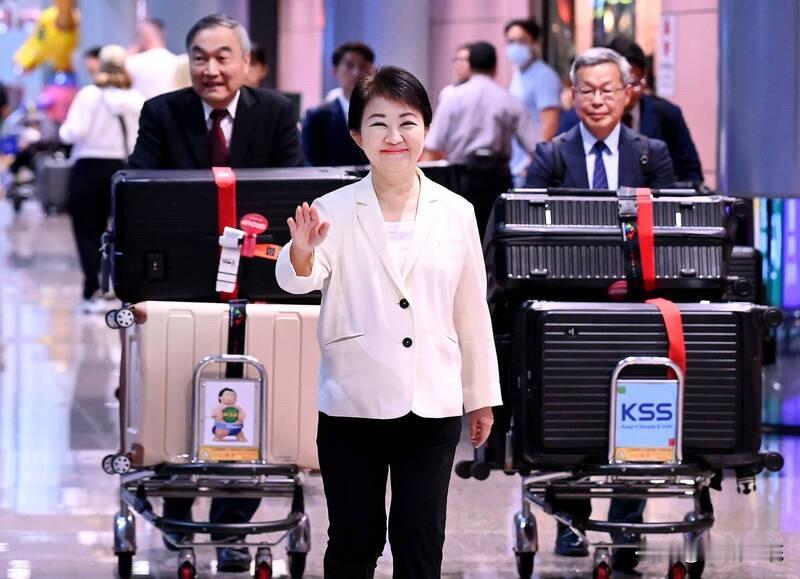 结束欧洲行返台卢秀燕：达成目标见到想见的人台中市长卢秀燕结束10天的访欧行