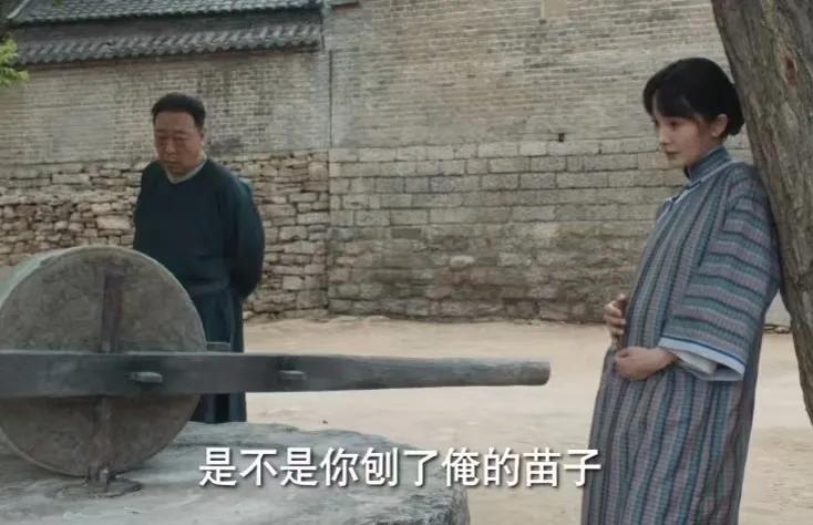 《生万物》第25集预告:宁绣绣决定在地里种药材，结果却发现地里的药苗子被人给刨