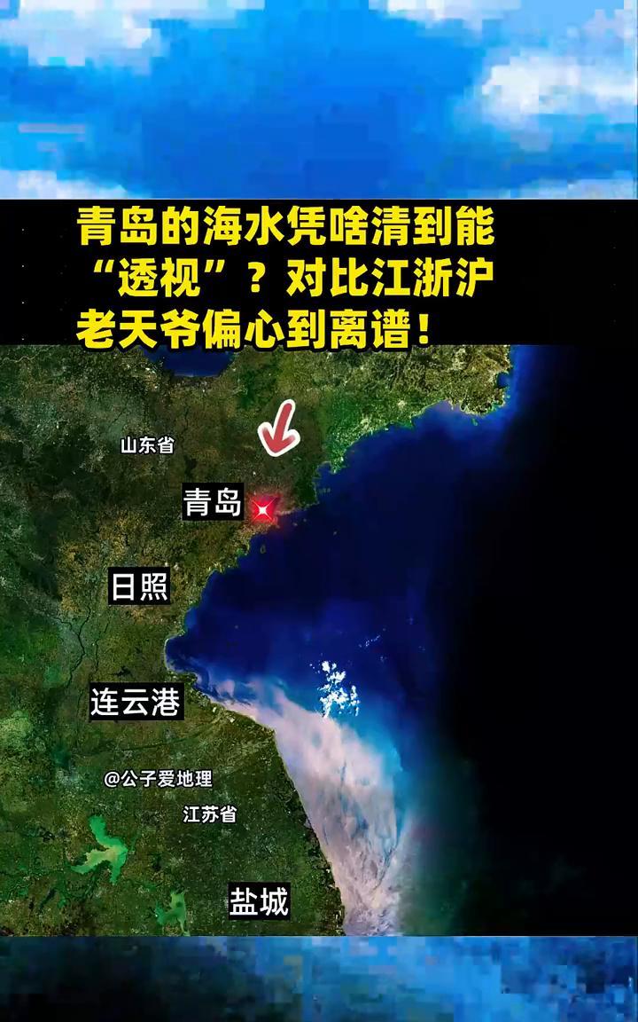 青岛的海水凭啥清到能