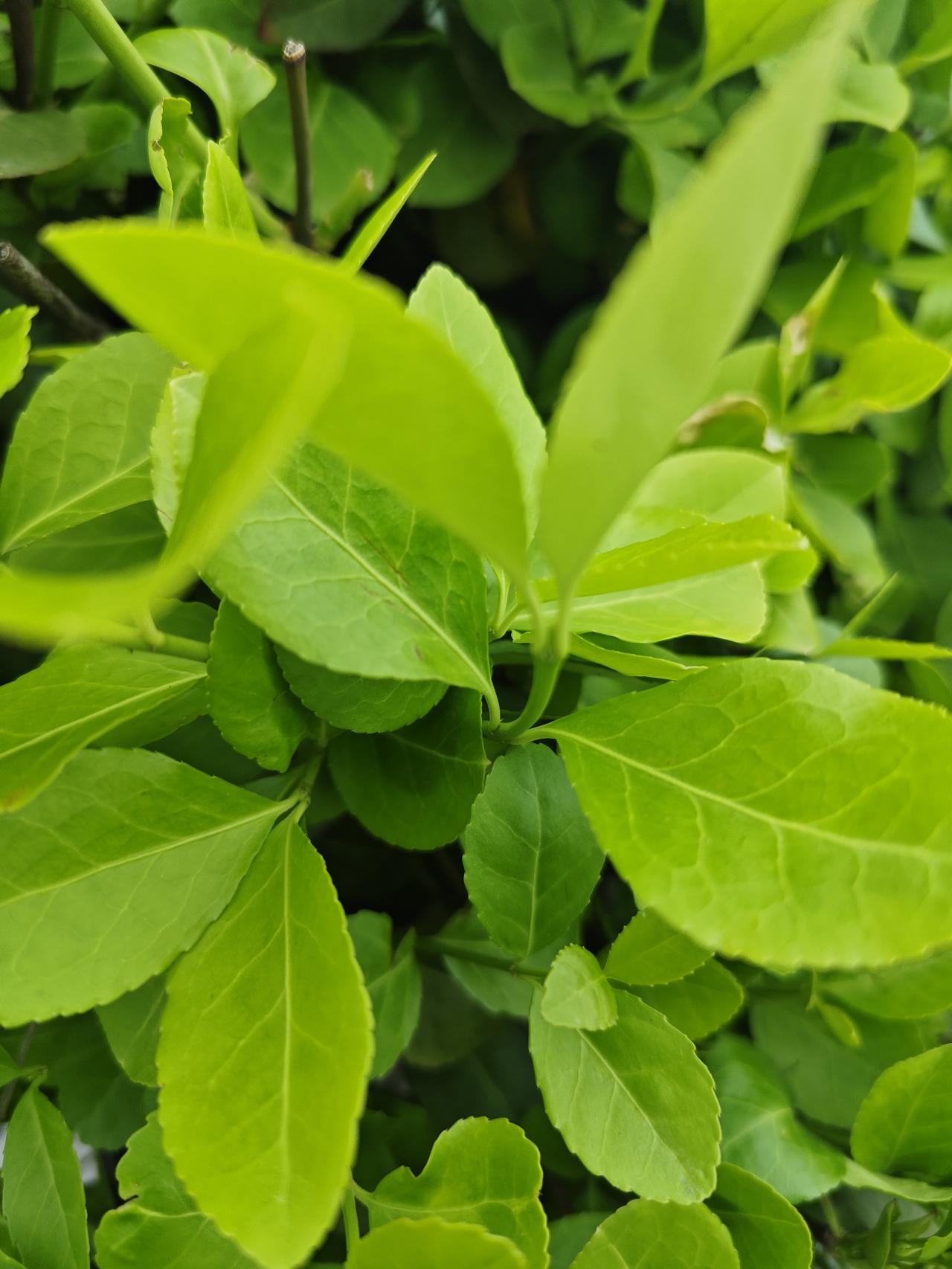养生才是改命的捷径！别等身体报警了才翻这条，早看早把自己养贵了。十点睡，脑子