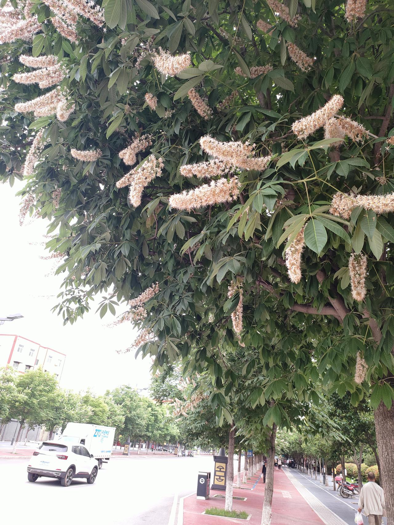 很多老人带孙子到最后才发现：最寒心的，往往不是累很多忙活半辈子、晚年帮儿女