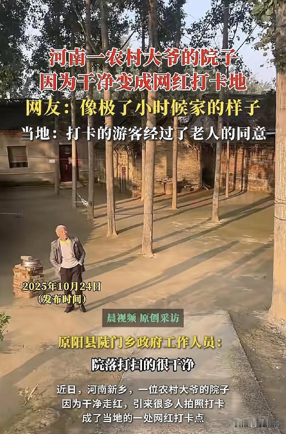 河南一大爷的院子因干净成为网红打卡地,青瓦小屋,三排整齐的梧桐树,干净利落的院子