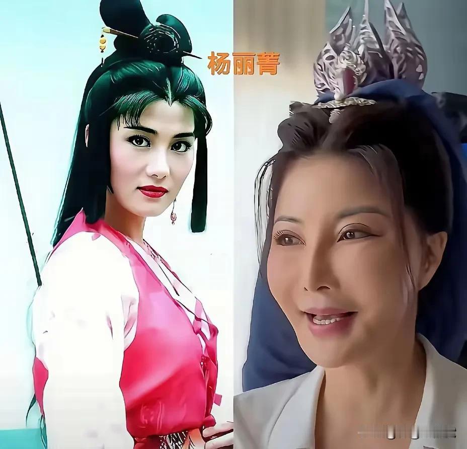 武打女星杨丽菁本来就底子好，漂亮美丽，完全可以优雅自然地变老，可她就是不甘心，非