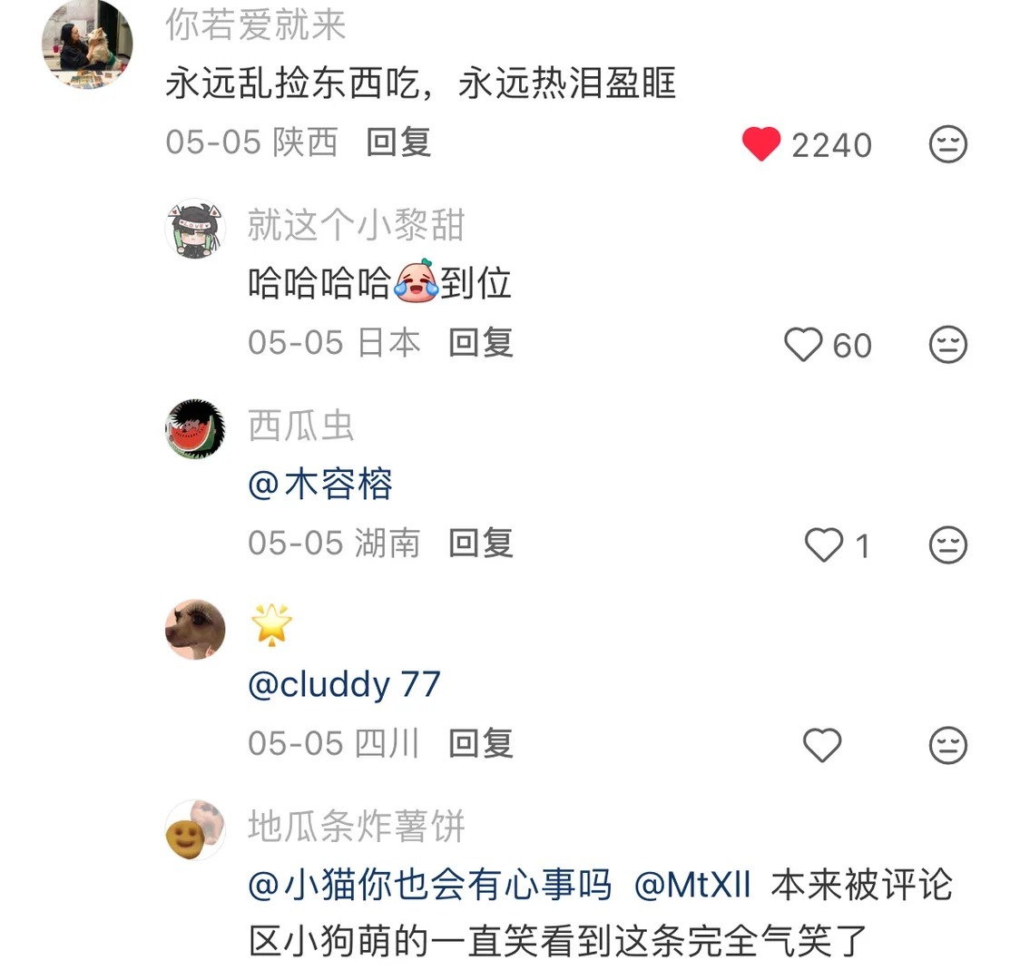 小狗是永远的机会主义者