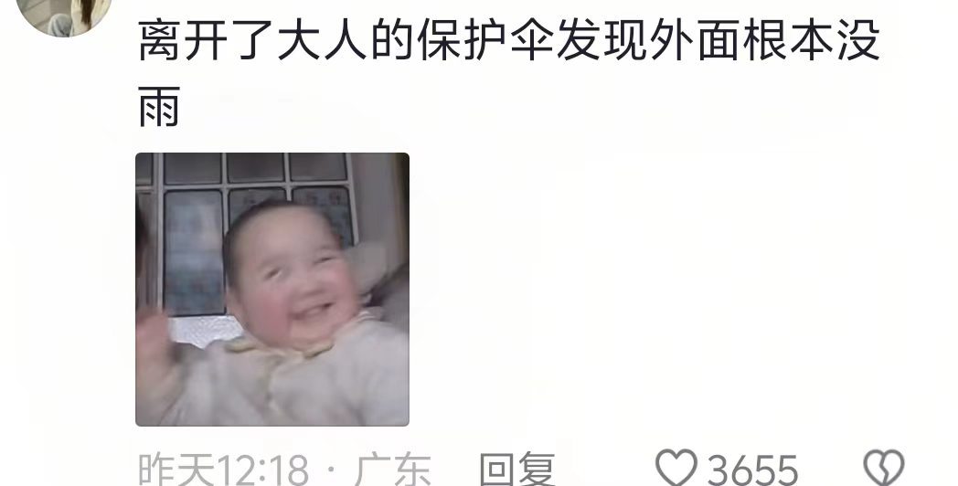 有个幼儿园文凭也不至于···​​​