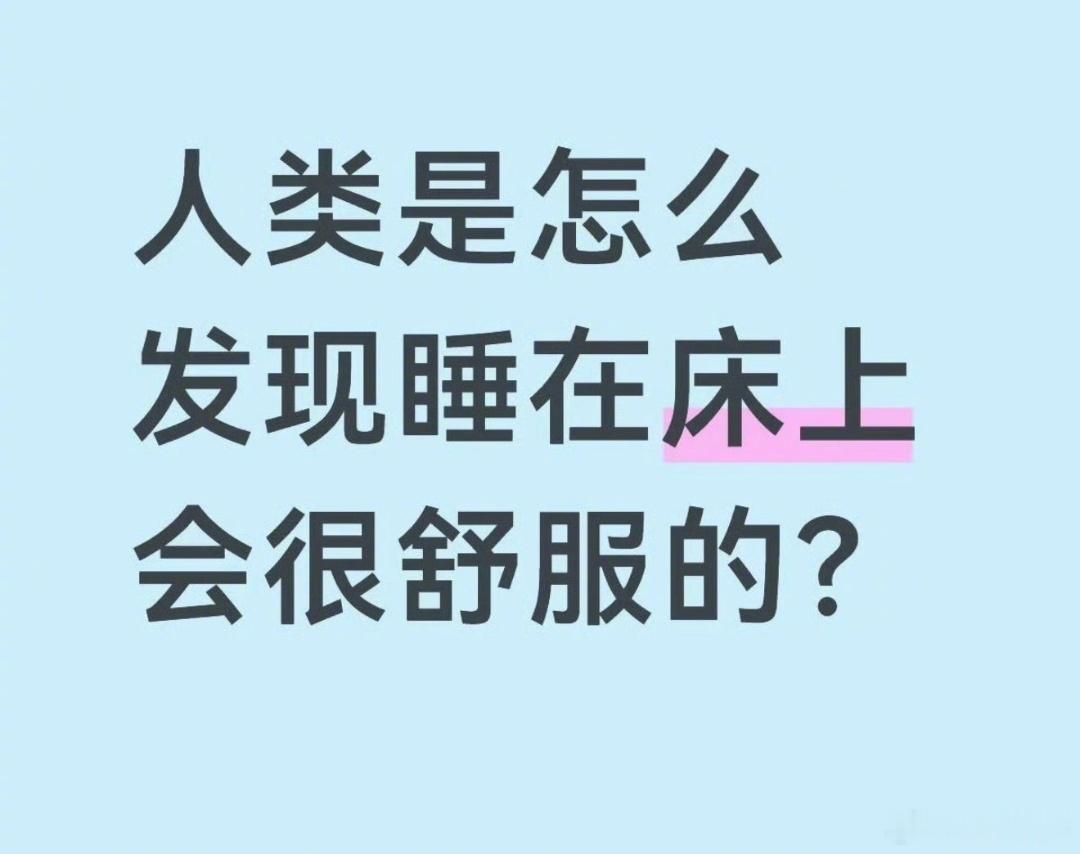 人类是怎么发现睡在床上很舒服的好可爱