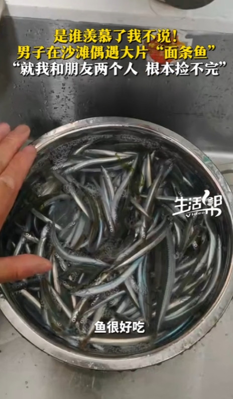 “命中注定啊！”2025年6月，山东日照，一男子和朋友赶海，在返程的途中，竟然遇
