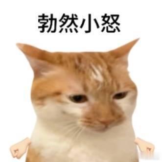 但凡女儿有个幼儿园文凭小朋友的世界简单又有趣，认真说出天马行空的观点，又萌又好