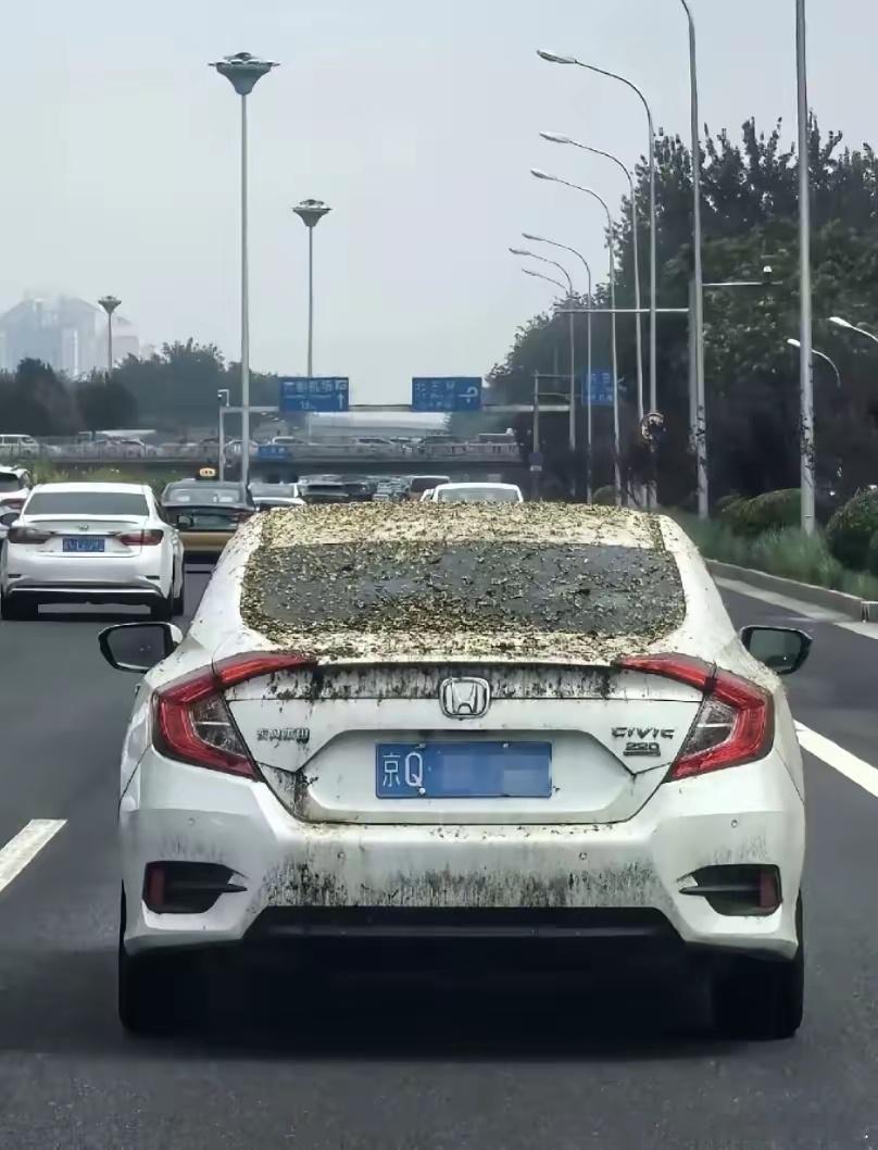 在北京洗车价格很贵吗？？