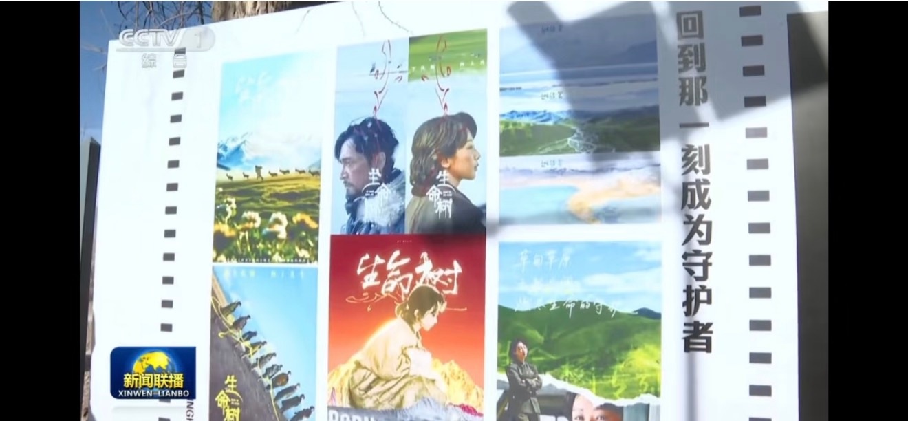 杨紫生命树登上新闻联播央视特意选了紫米作的图，谁还敢嘲生命树扑了，先看看自家播剧