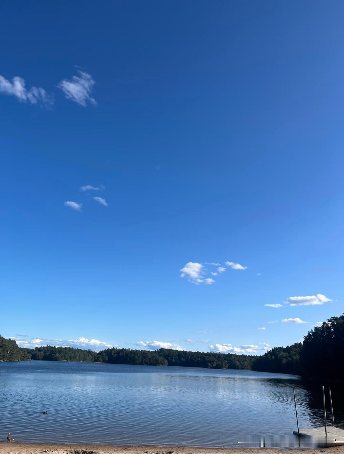 大家发现了吗？有个奇怪的现象…人一旦没有上班，就会在家里躺着，持