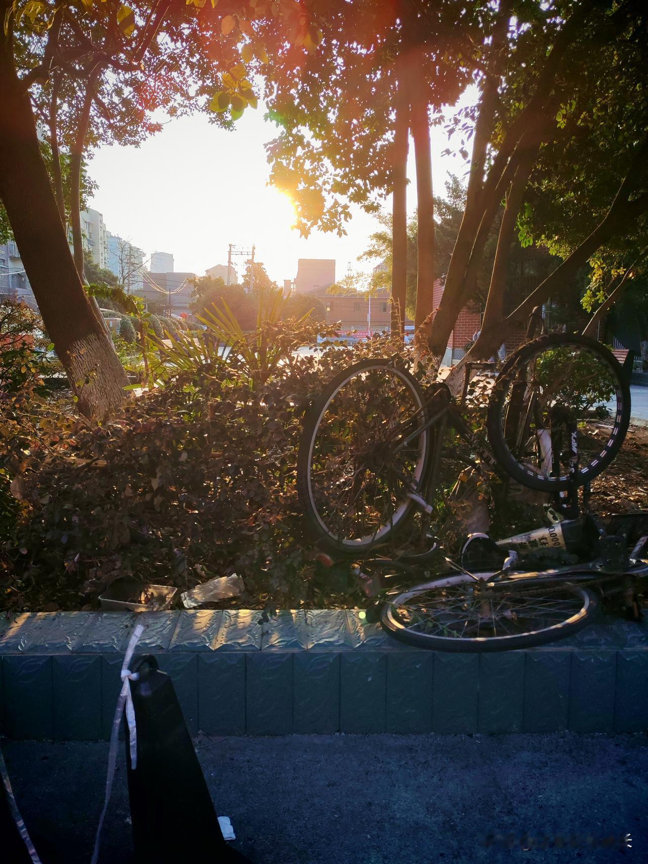 儿子失业3个月，我偷偷转了10000块朋友说，儿子已经失业整整三个月了。