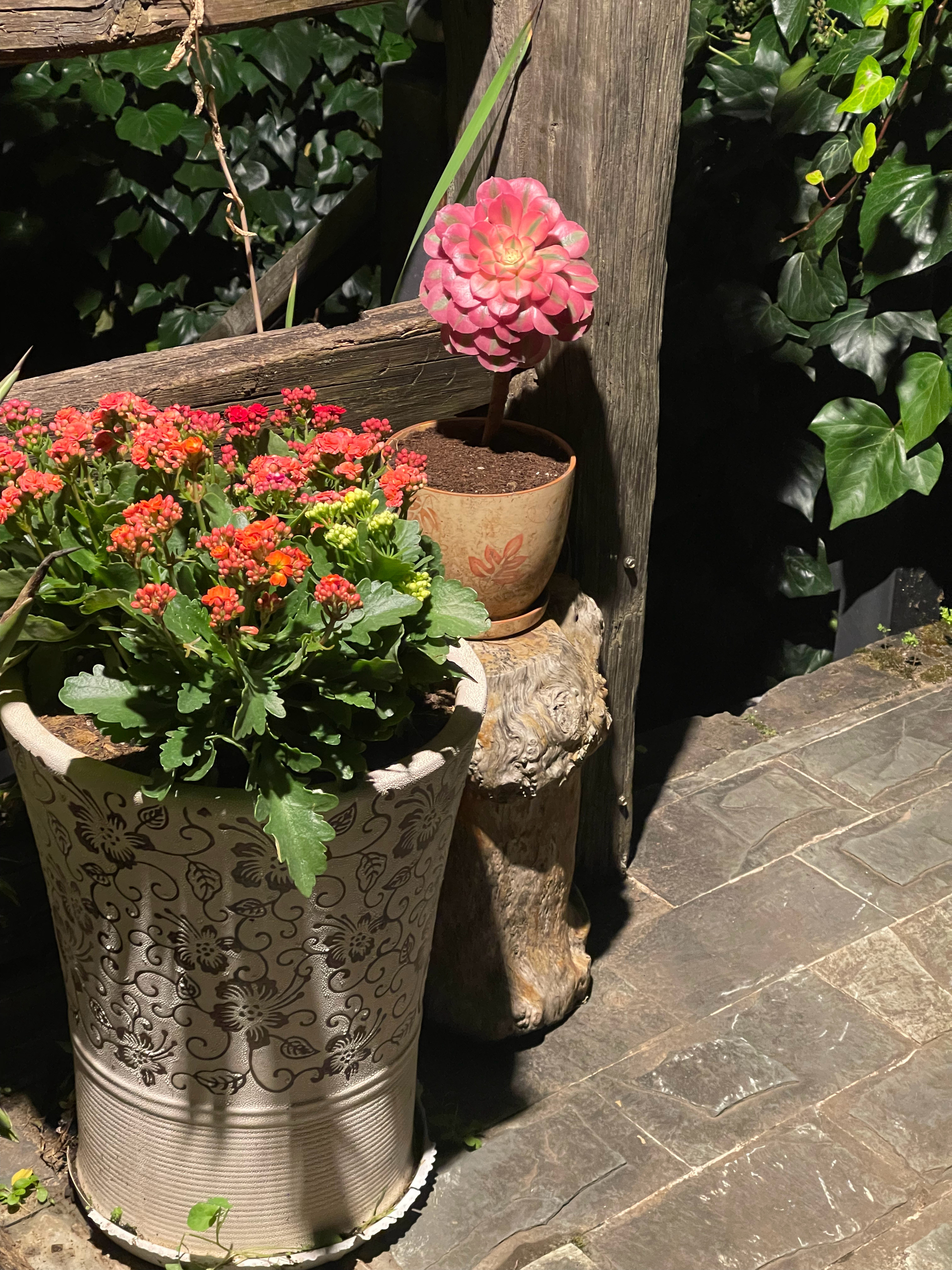 人只要能够一直自我更新和成长，就不会太在意已经过去了的自己，就不存在什么一去不复