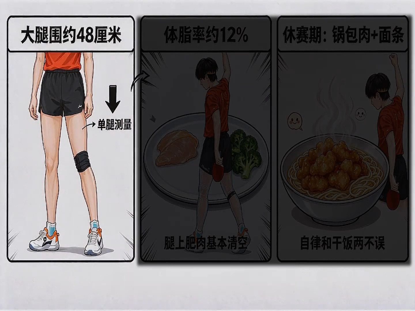 王楚钦屁股奥秘：乒乓球，去脂版弹簧腿，屁股才是主引擎