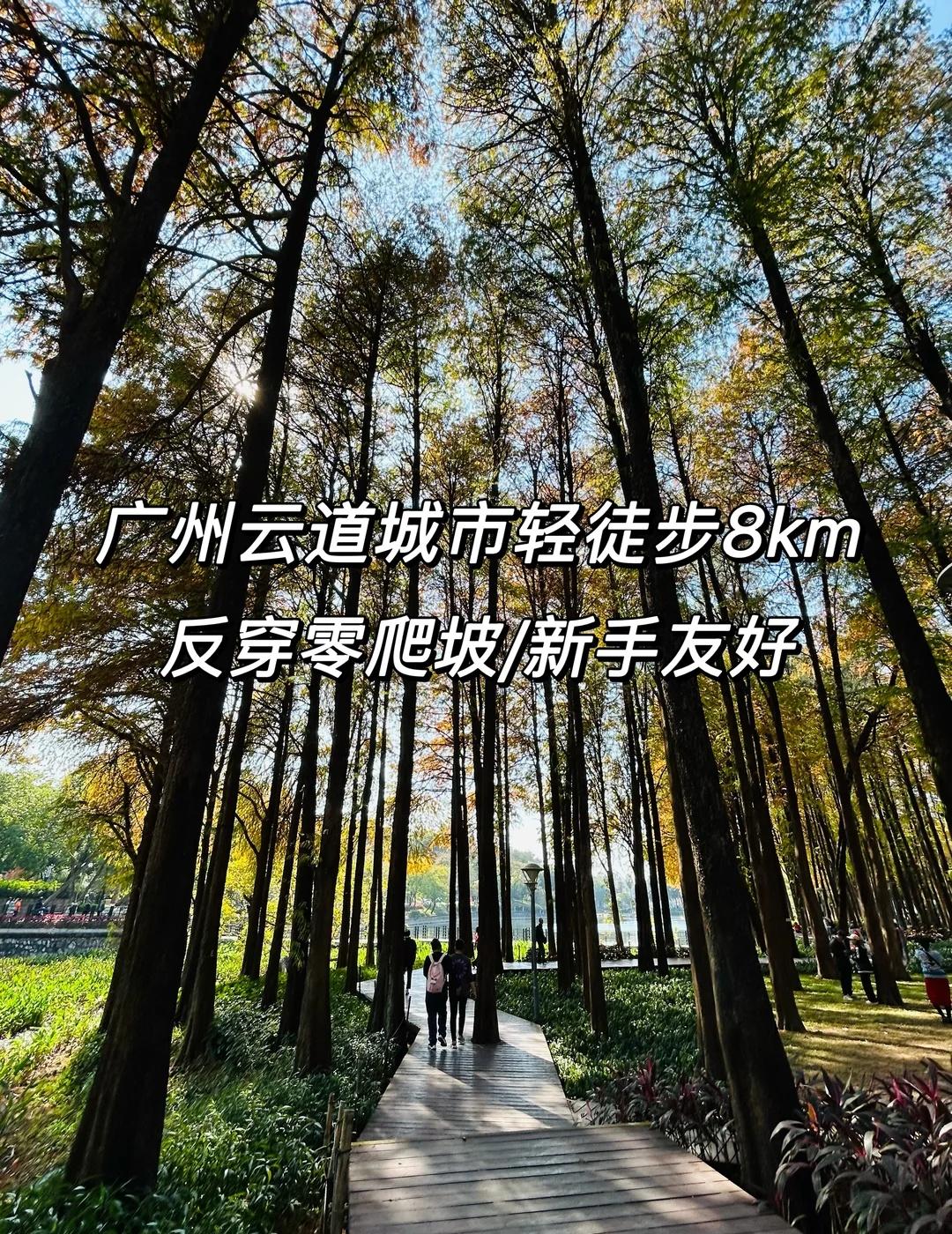 广州徒步｜云道城市轻徒步8km⛰️广州云道反穿才是正确打开方式！全程以缓下坡