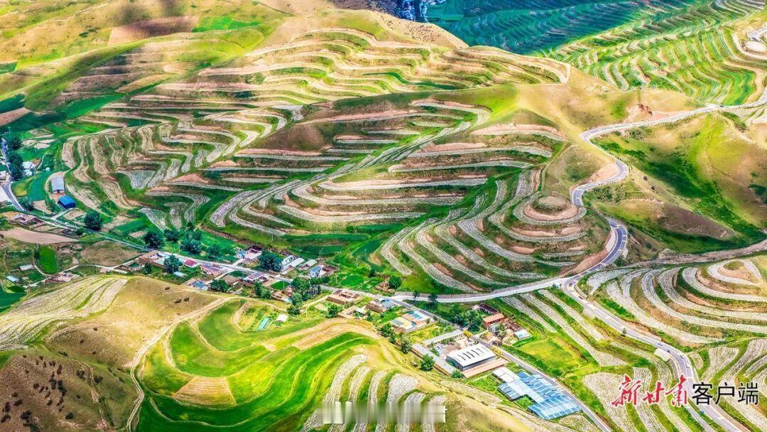 天祝高山梯田绘就盛夏画卷盛夏时节，天祝县万亩高山梯田依山铺展，各色农作物生机盎