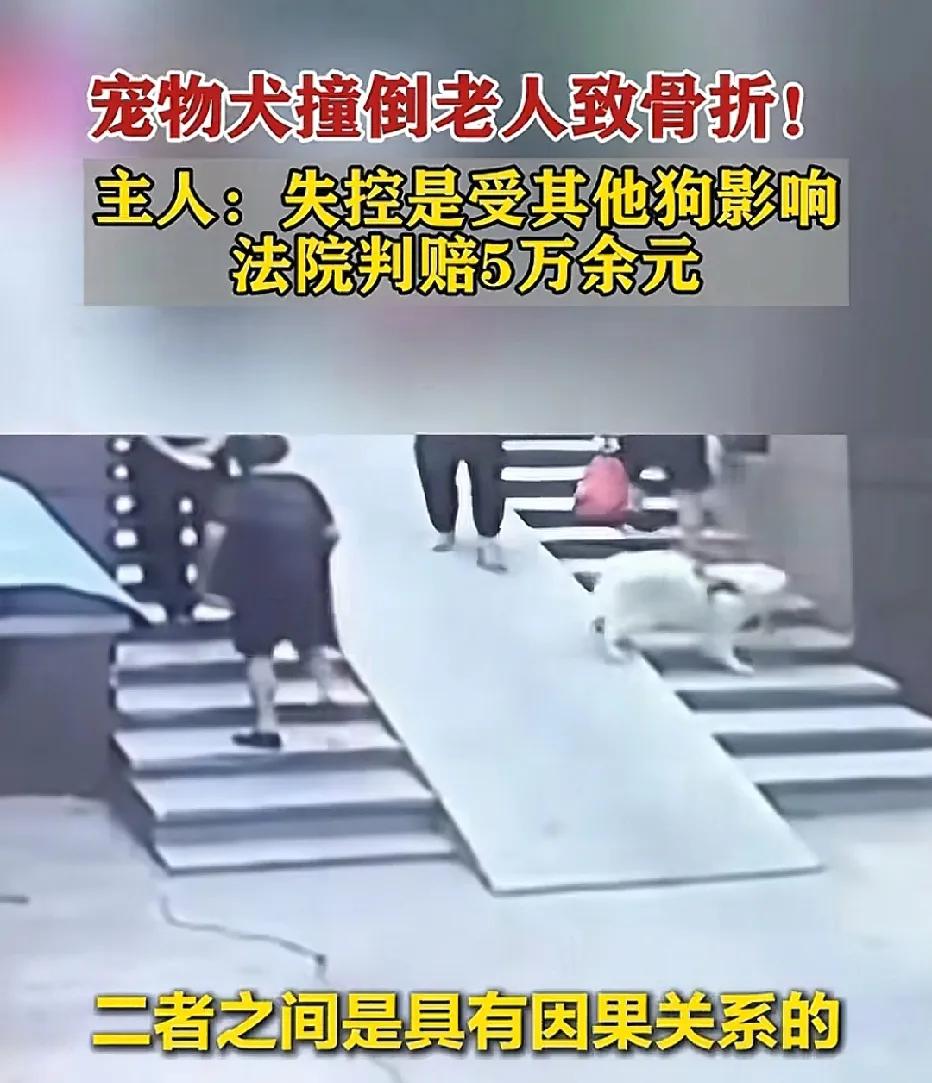 江苏镇江，女子遛狗，谁知狗绳没牵紧，狗突然乱窜，对面的大妈被狗撞到小腿，从台阶上