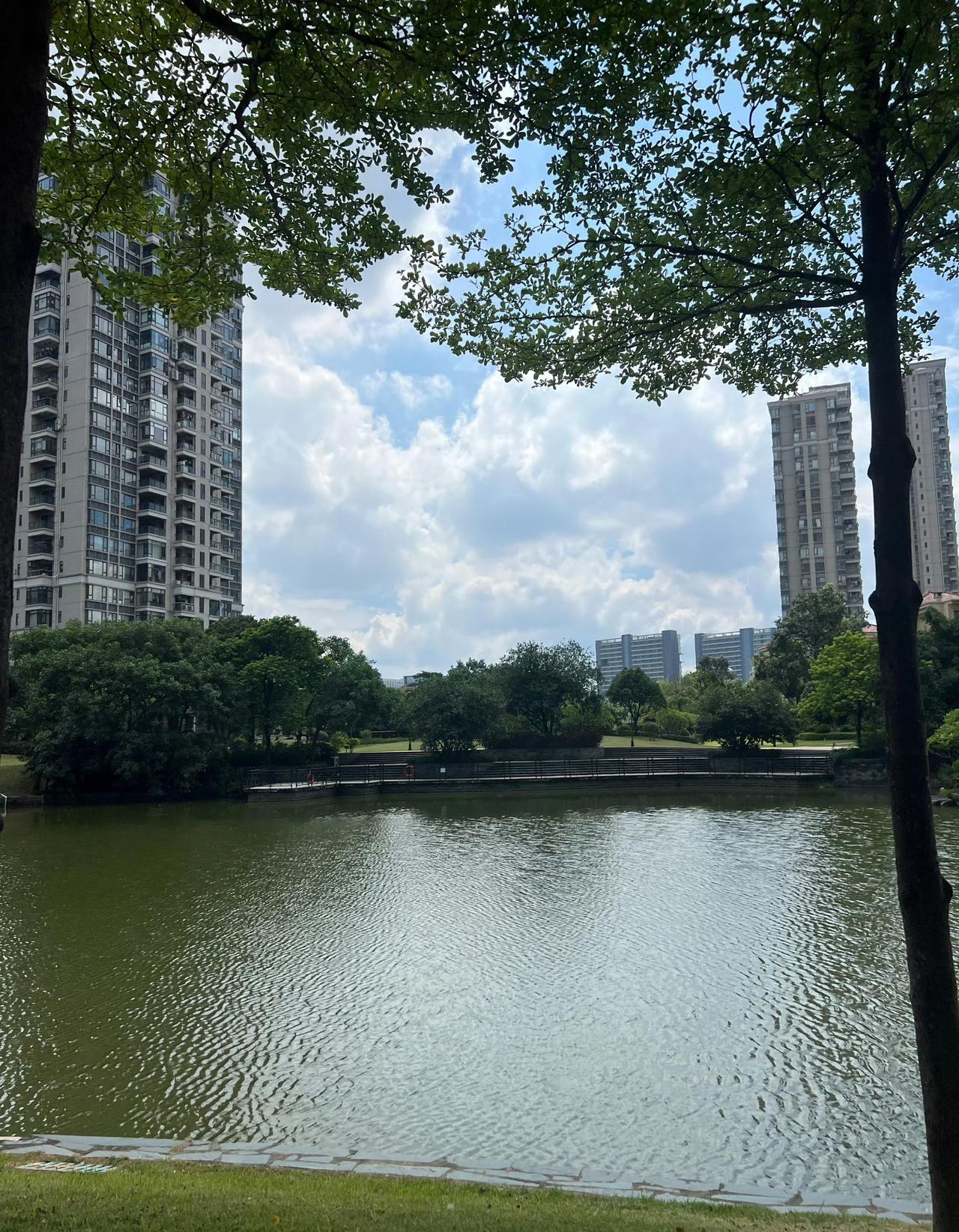 今日运势：乙巳年乙酉月壬寅日2025.9.30日鼠：小吉财运较好牛：平