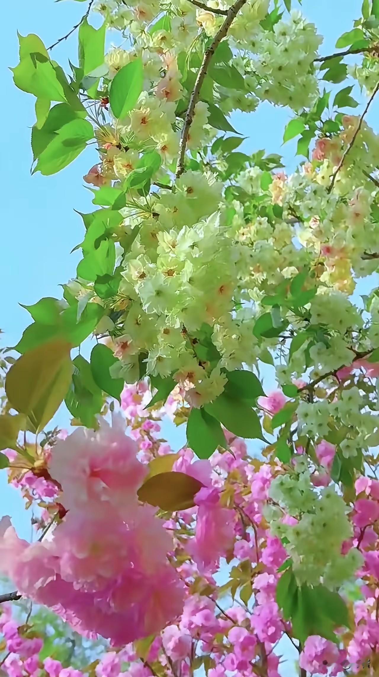 别把孩子养成仇人一、别把“为你好”挂嘴边，变成控制欲-打着爱的名义