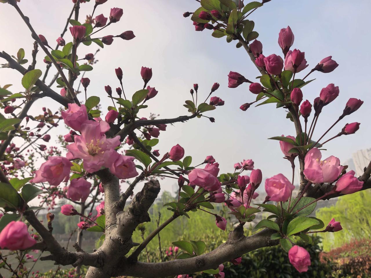 美国白宫星期三宣布，总统特朗普已任命Meta创始人兼总裁扎克伯格、英伟达首席执行