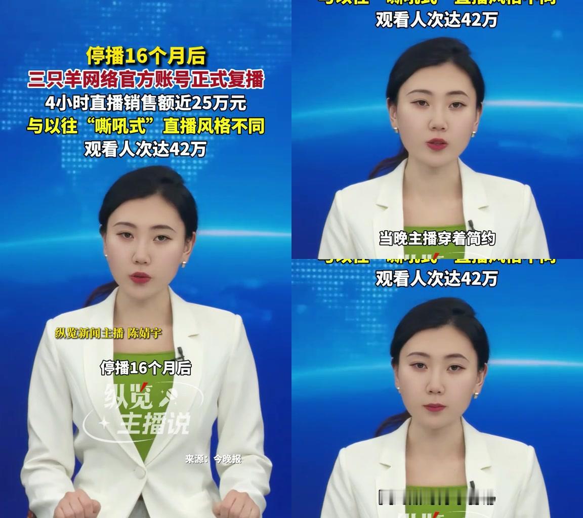 三只羊停播16个月复播，4小时卖了25万。这事一出来，大家都在问为啥雨姐