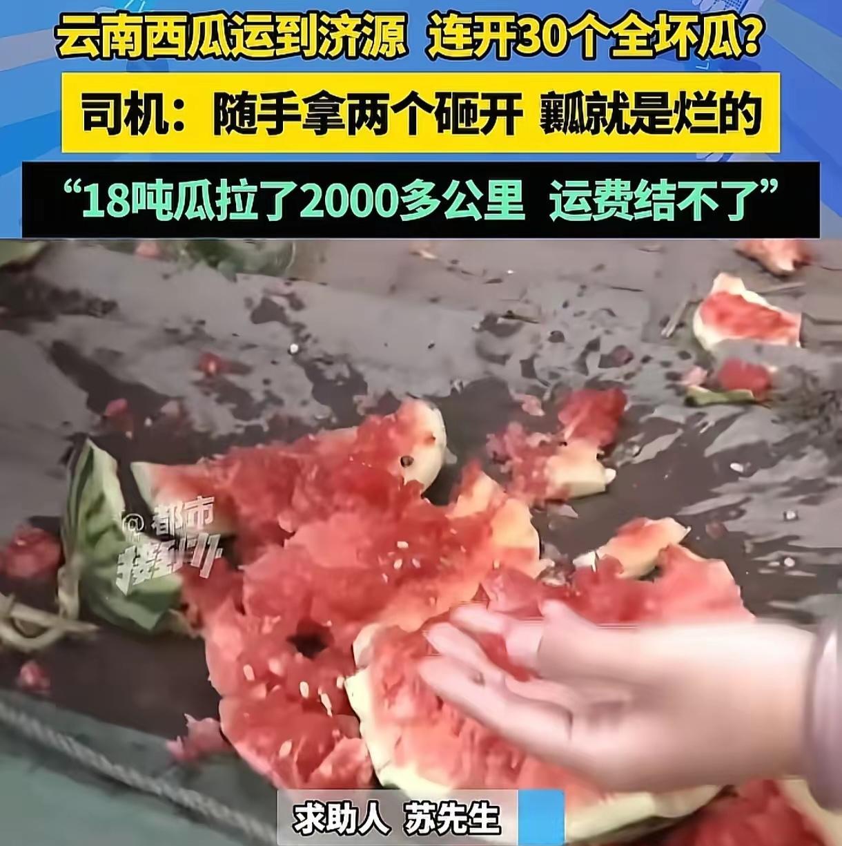 “这都是坏了的瓜，我拉去卖给谁，猪都不吃！”货车司机运18吨西瓜到河南，收货方连