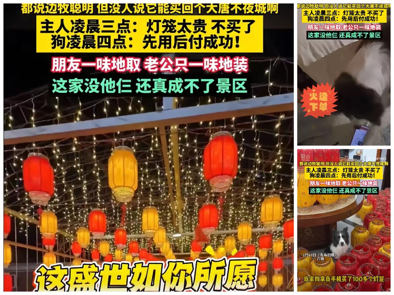 笑死了！吉林一女子半夜想给家里添年味，躺在床上挑灯笼，纠结300块太贵没舍得买，