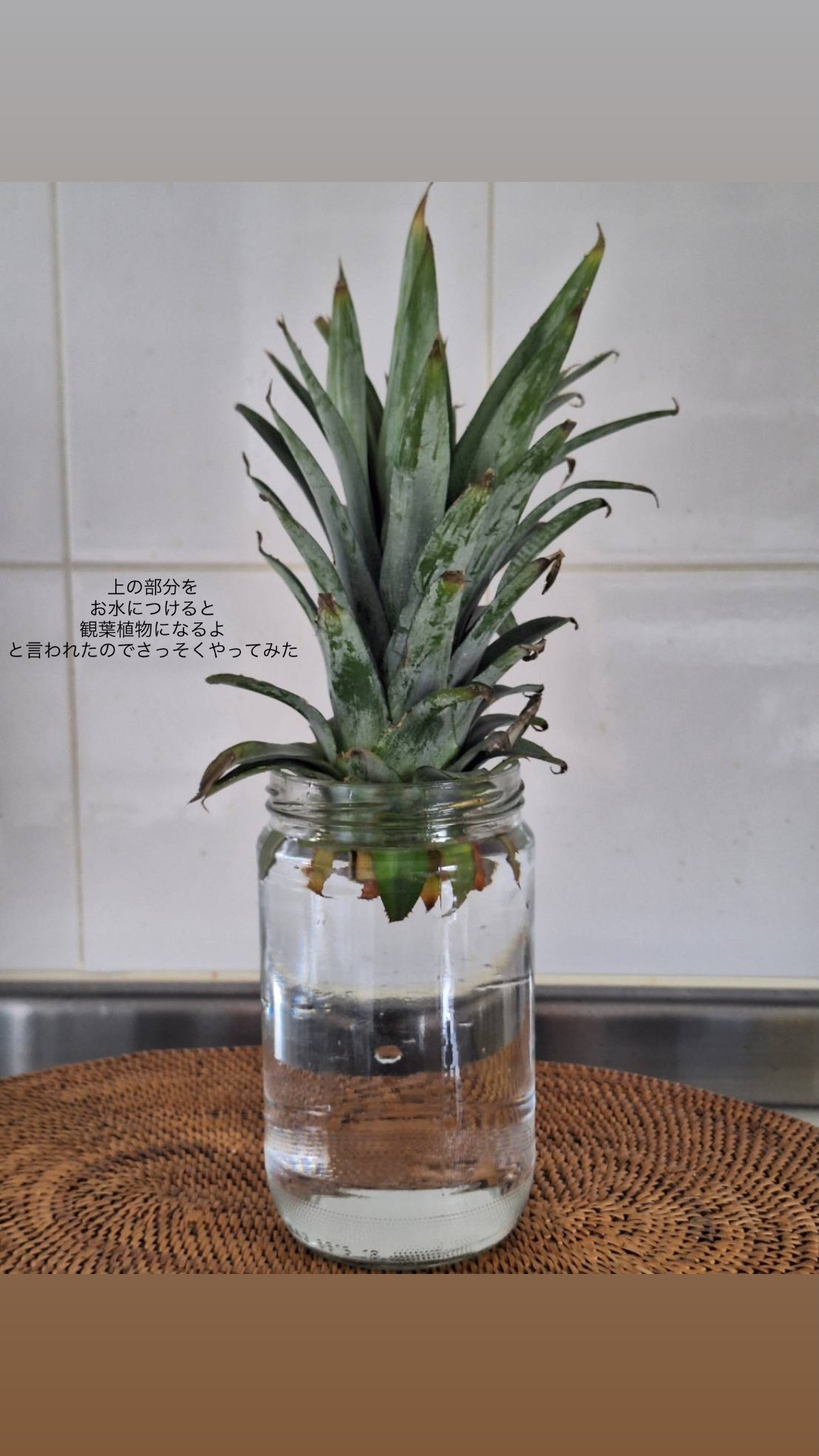 潮紗理菜🍀sarina8gram