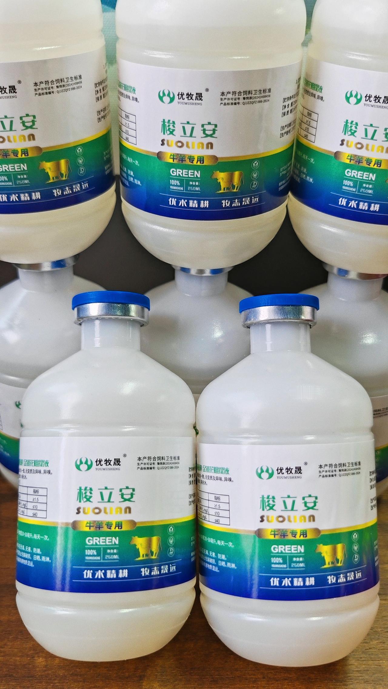 养羊人牛羊养殖农村养羊