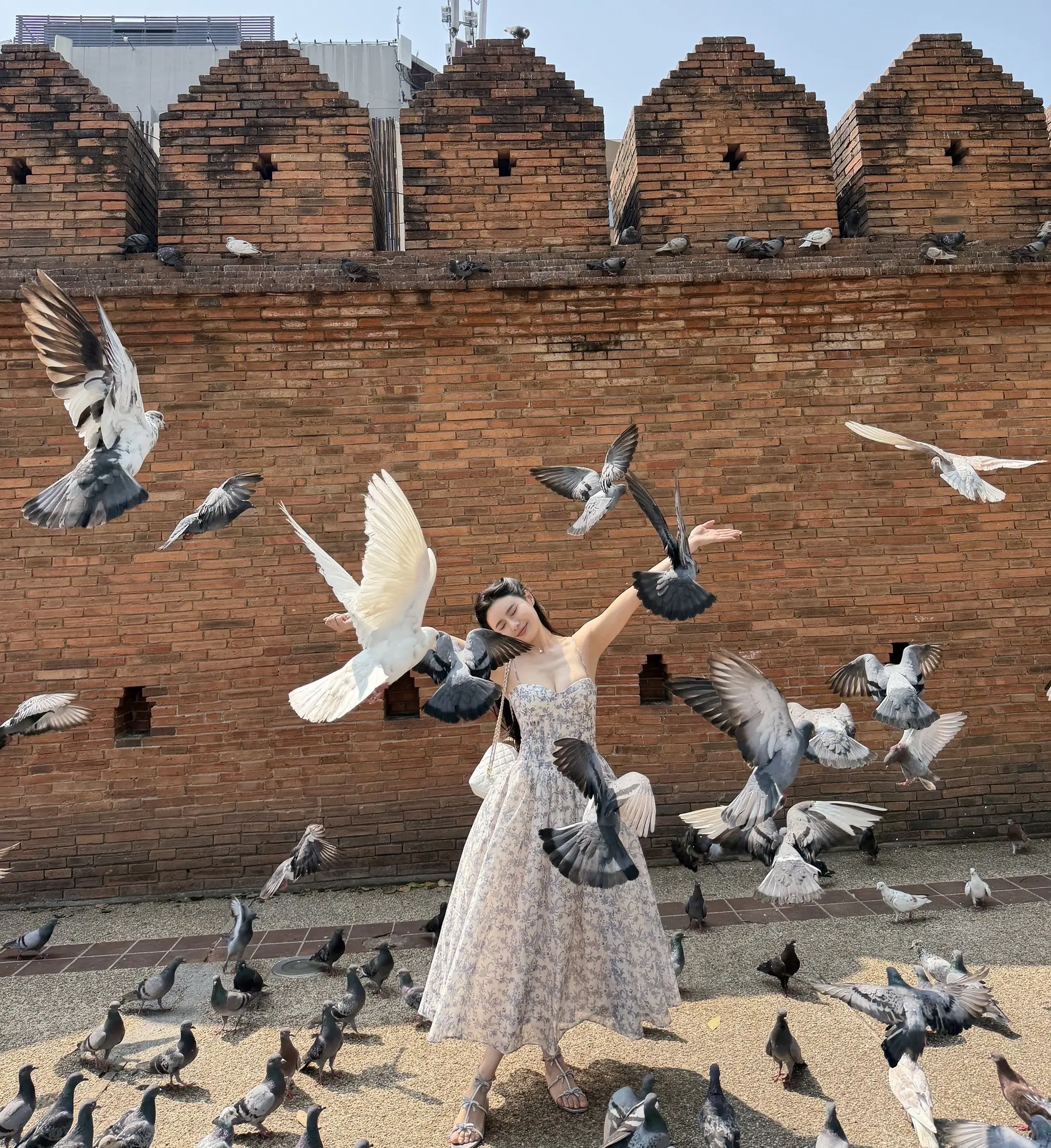 在清迈 有种阳光明媚的漂亮🕊️🇹🇭。