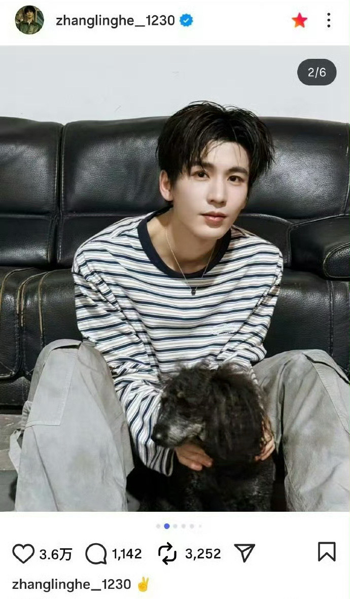 张凌赫ins更新萌照张凌赫ins更新萌照！条纹男大与狗狗的温馨时刻~