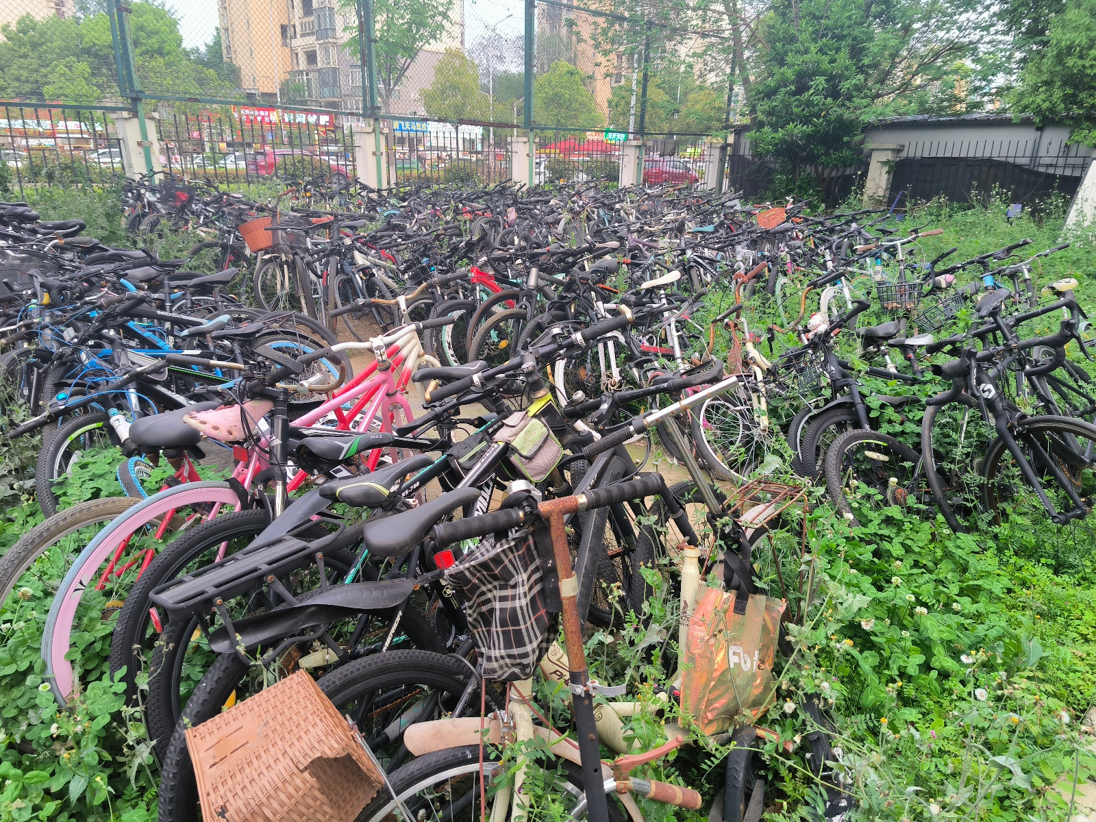 高校内上千辆“僵尸自行车”等待认领, 学校统一上锁保管, 保卫处: 多为毕业生所留