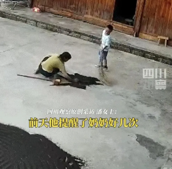 “完全没法解释！”贵州，6岁男孩正在院子玩，突然大叫着跑向奶奶，让奶奶赶紧收菜籽