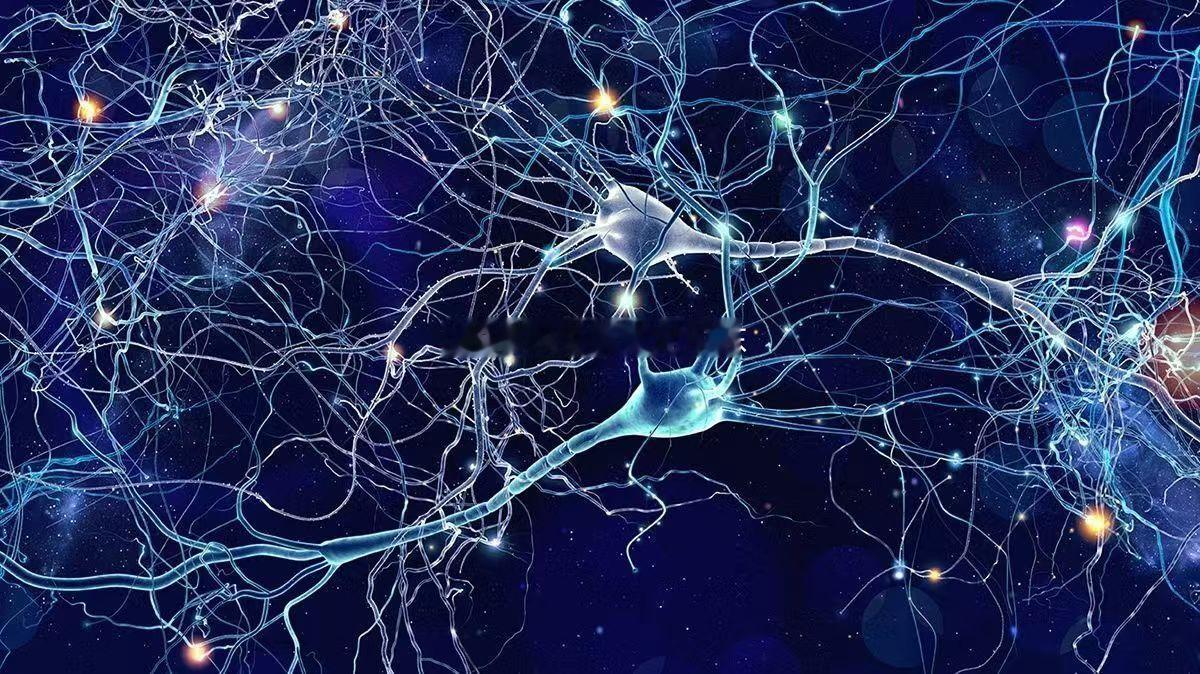 最新：科学家们表示，意识可能并非源于神经元，而是来自大脑中一条隐藏的路径，在那里