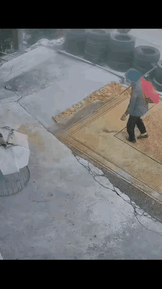 一位老人经过一户人家时。一条大白狗突然向老人冲过去，老人被吓得连连后退，狗狗的女