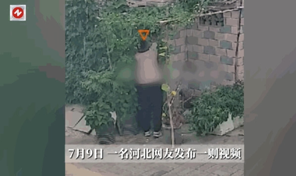“太尴尬了！”7月9日，河北，一对夫妻骑车路过邻居家时，看到门口的苦瓜长得非常不