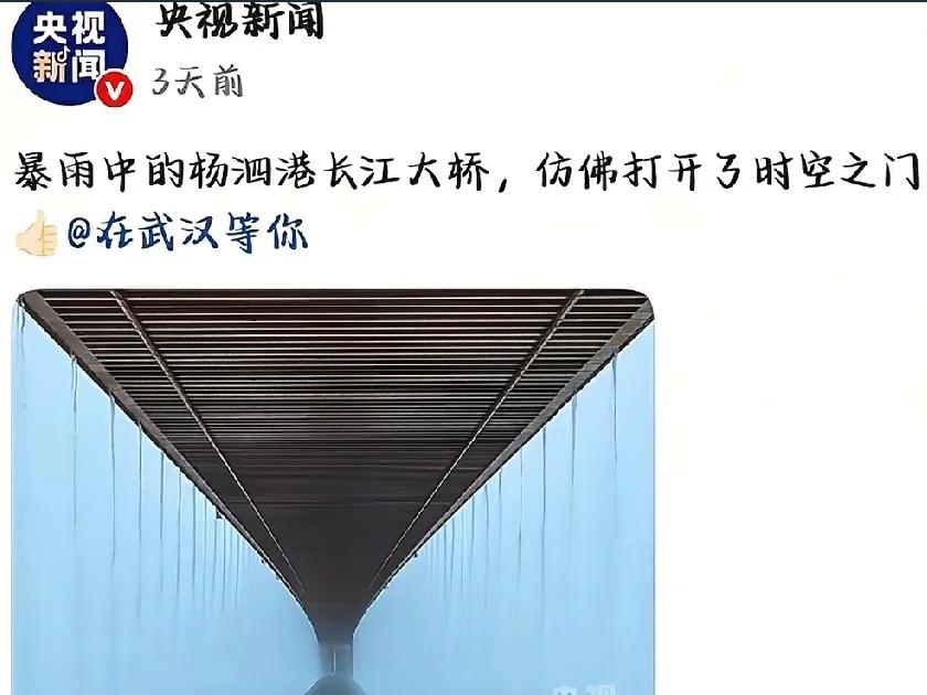 上午刚被央视转发点赞的武汉打卡点，下午就被圈上了栅栏，想进去拍照，需交押金和进行