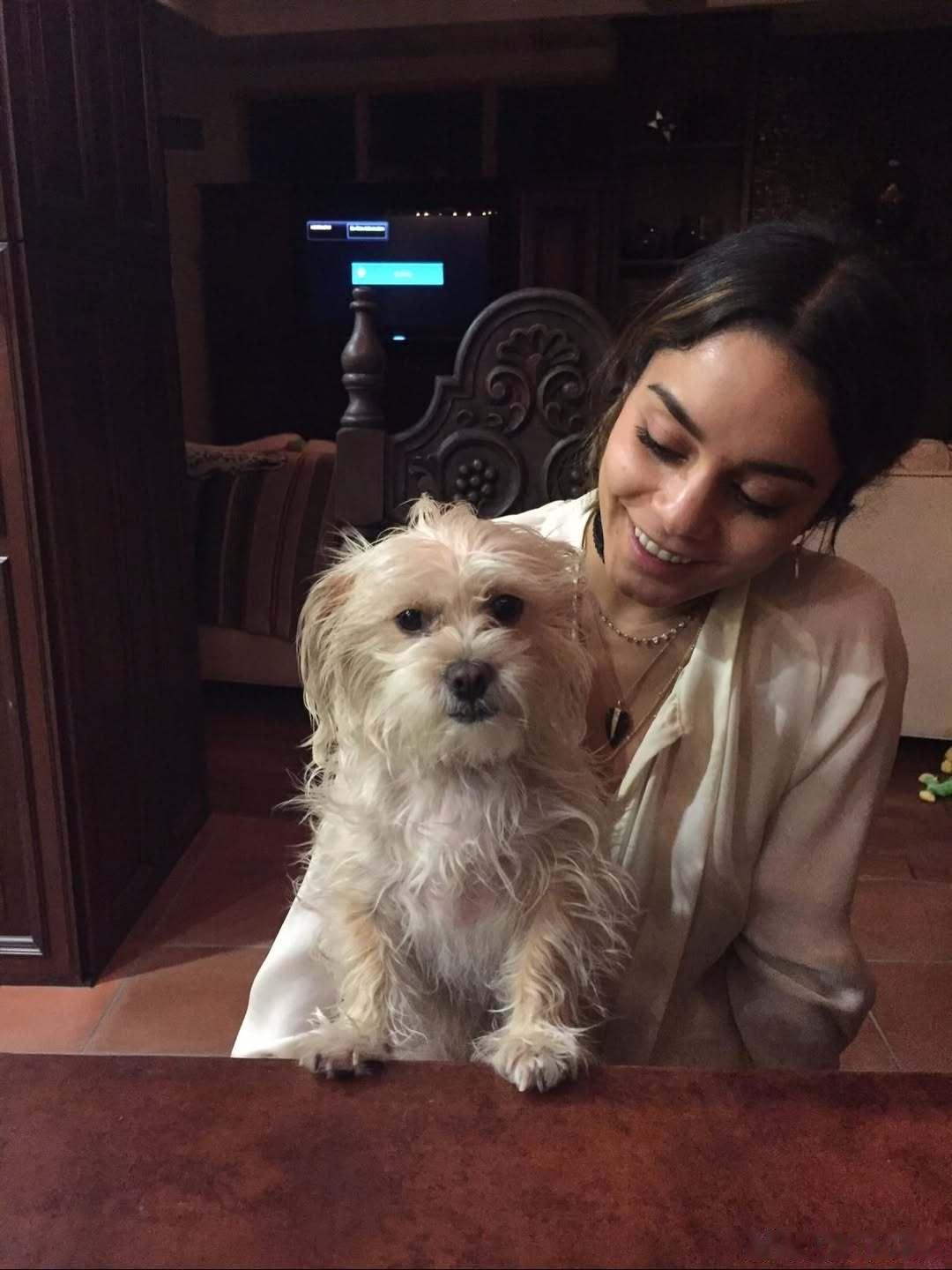 VanessaHudgens凡妮莎哈金斯家的爱犬Darla今天去了汪星球，妮莎