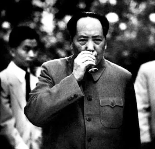 1966年，美国女特工李莎接到一个任务，刺杀毛主席，她千里迢迢来到中国，没想到计