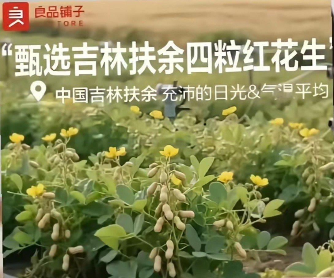 公司上下没人发现有什么不对吗？​​​