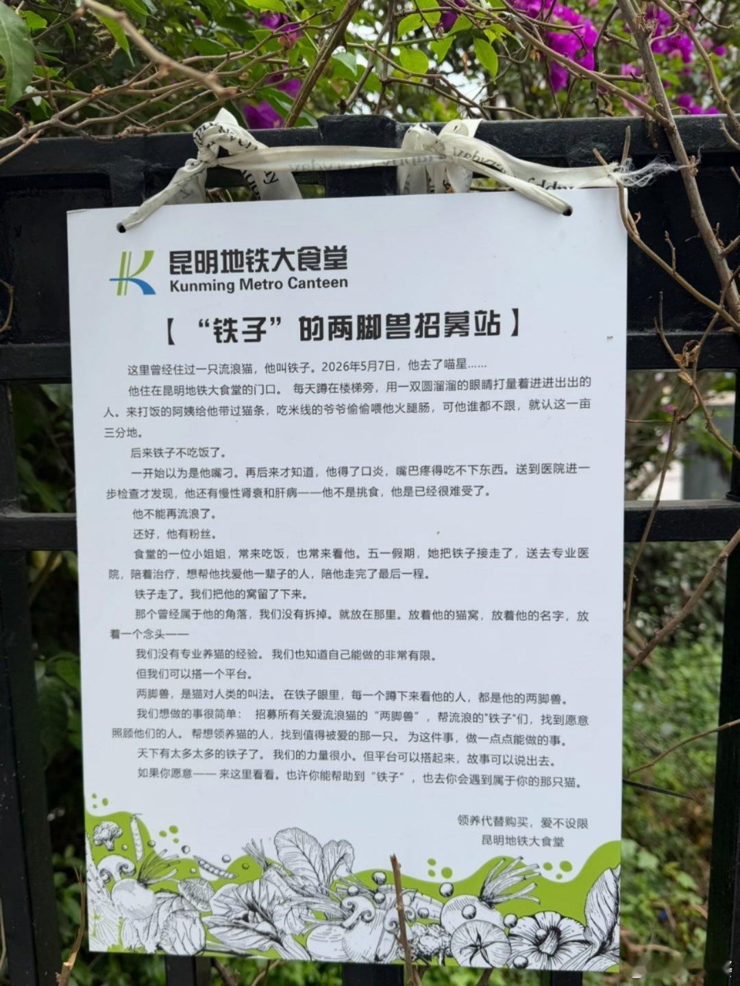 “它走了，却把温柔留在了地铁口”泪目！！昆明地铁上大分！！希望这份爱可以持续下去