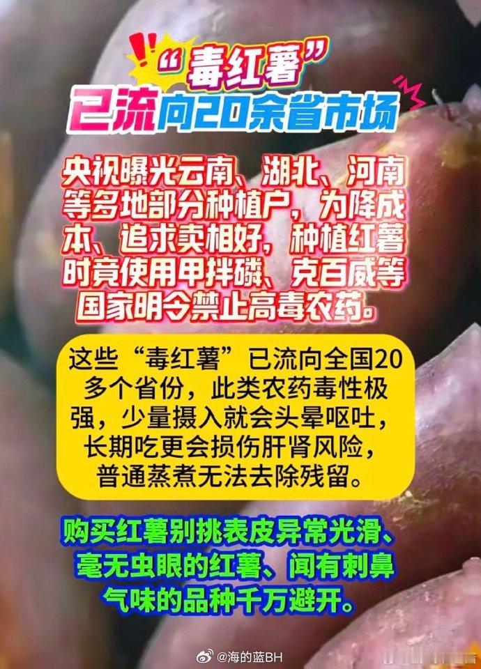 致命毒红薯已流遍20多省我们在谴责黑心种植户和商贩的同时，我们也要警惕另一种伤